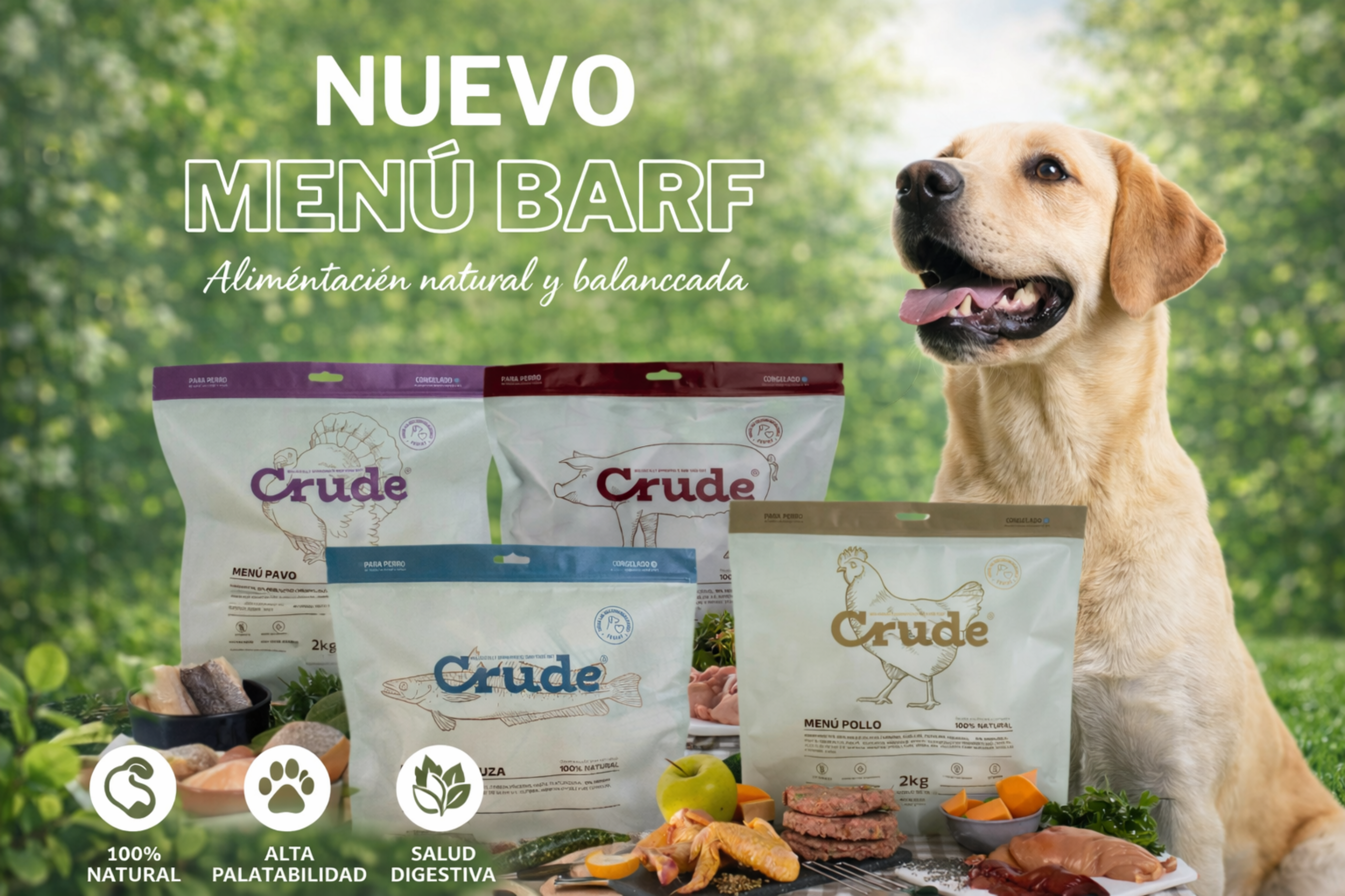 Diseno Sin Titulo 20