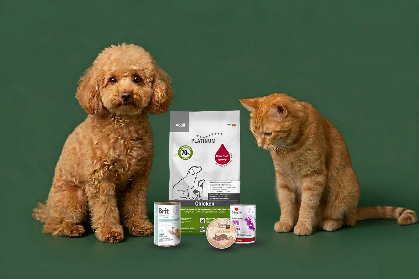 Un perro y un gato junto a un cuenco de pienso y comida húmeda