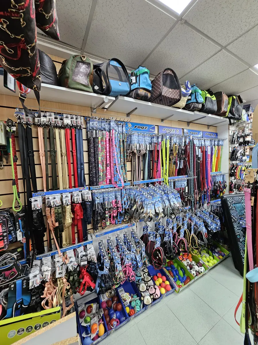 Pared de collares, correas y transportines en la tienda Rulos