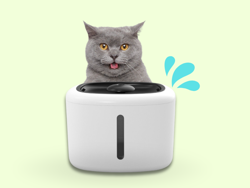 Diseno Sin Titulo 15